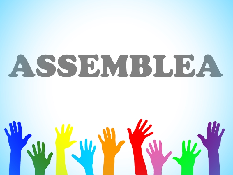 assemblea_0.jpg
